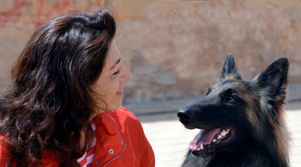 MargotCans. Adiestramiento y Alojamiento canino