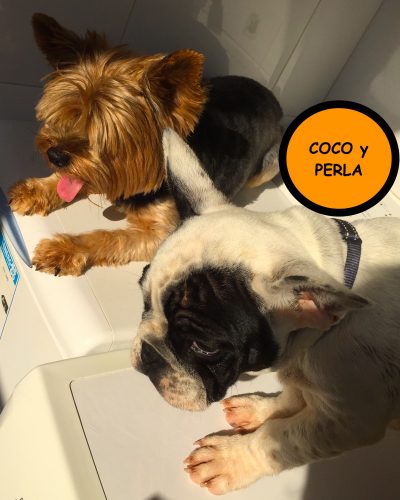Coco y Perla
